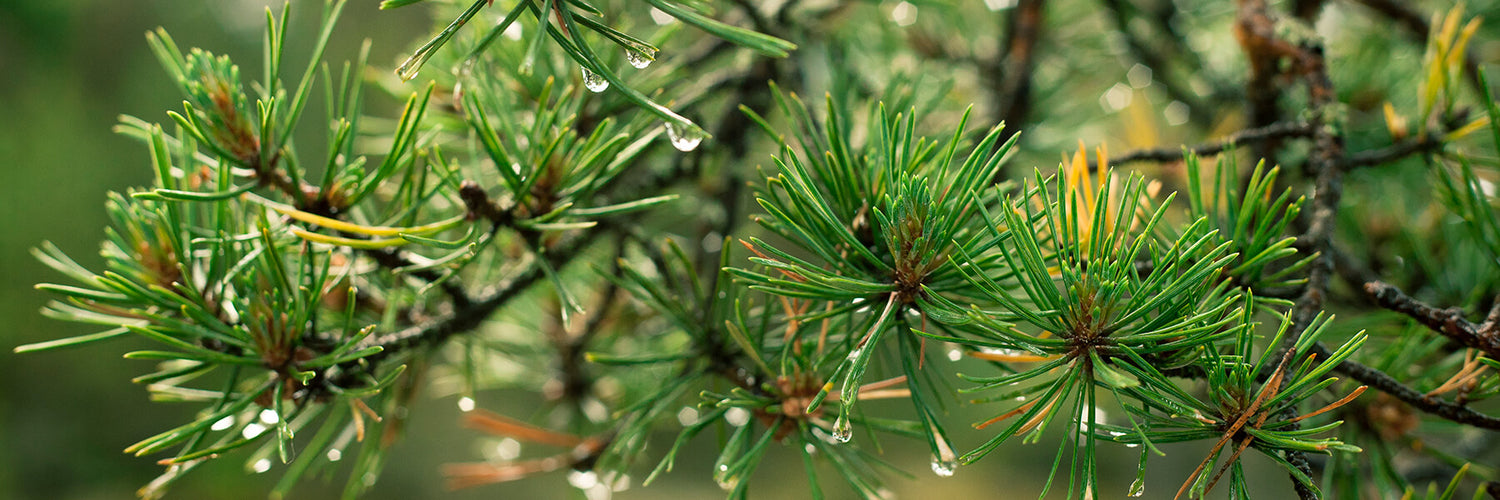 Halti Outdoor Weekend kutsuu vaeltajat, polkujuoksijat ja maastopyöräilijät upeaan luontoon