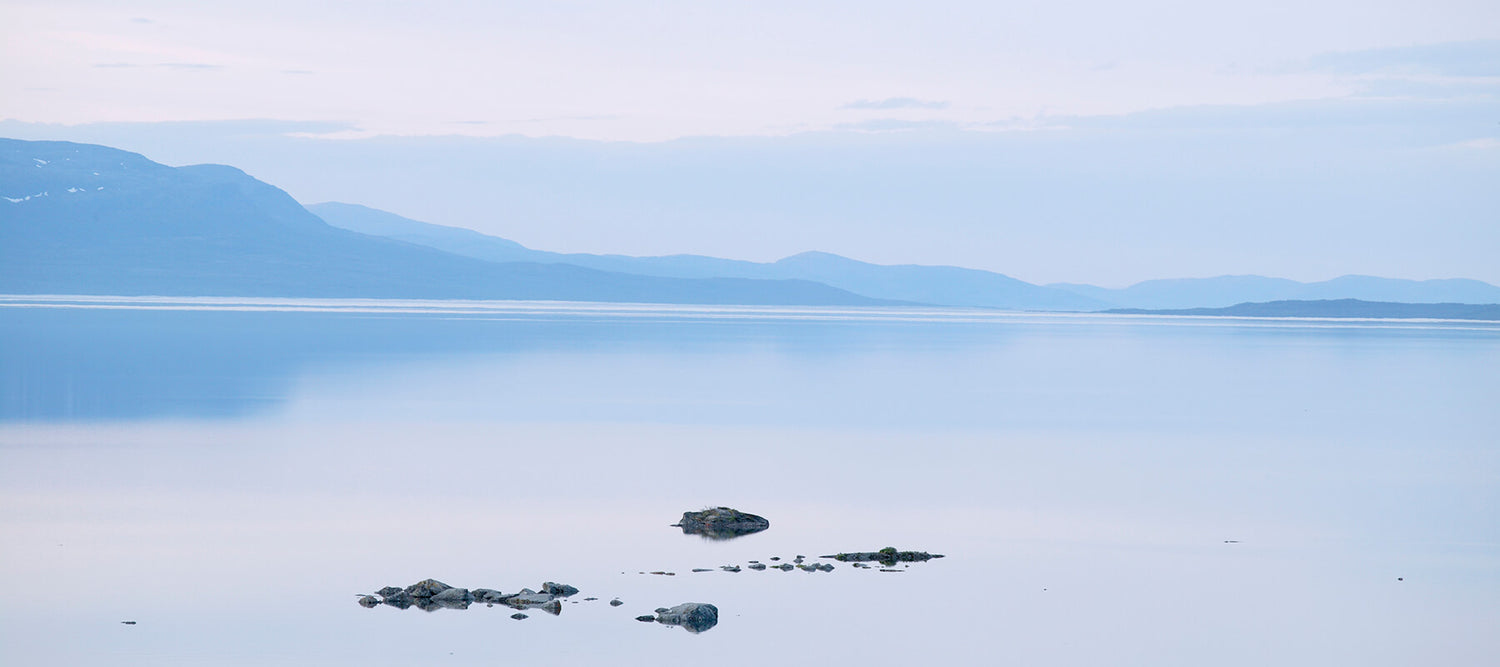 Tiedote Covid-19 -viruksen vaikutuksista Haltin toimintaan