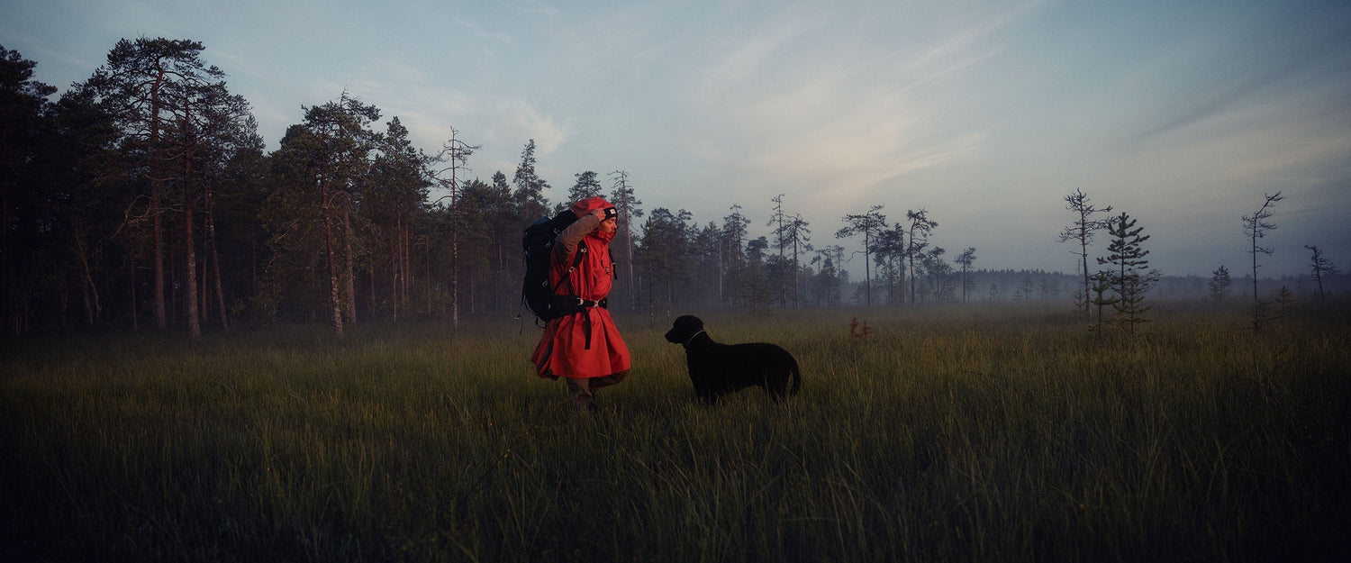 Harri Tarvaisen tarina