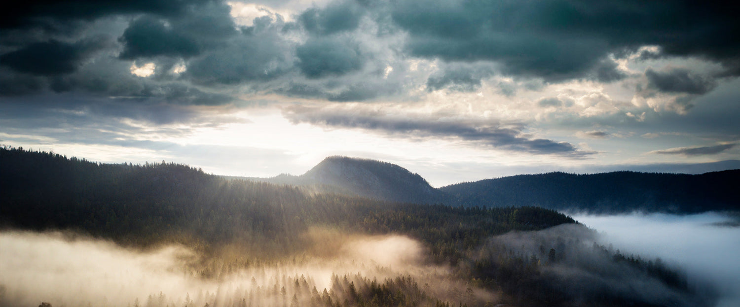 Haltin pääkonttorin energiapäästöt puolittuivat