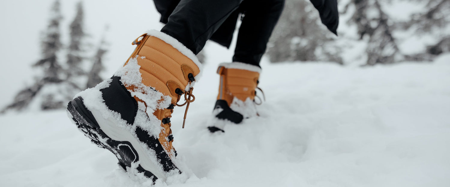 Suosituimmat tuotteet