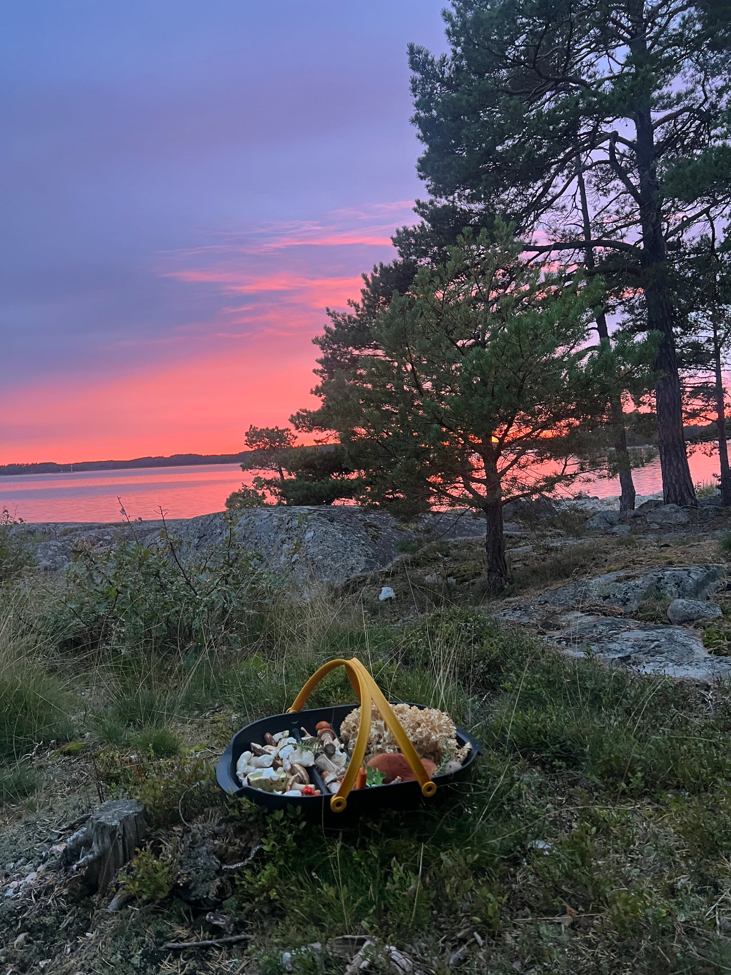 Ruokapannu istuu ruohikolla lähellä puita ja kiviä, ja taustalla on järvi ja värikäs auringonlaskun taivas.
