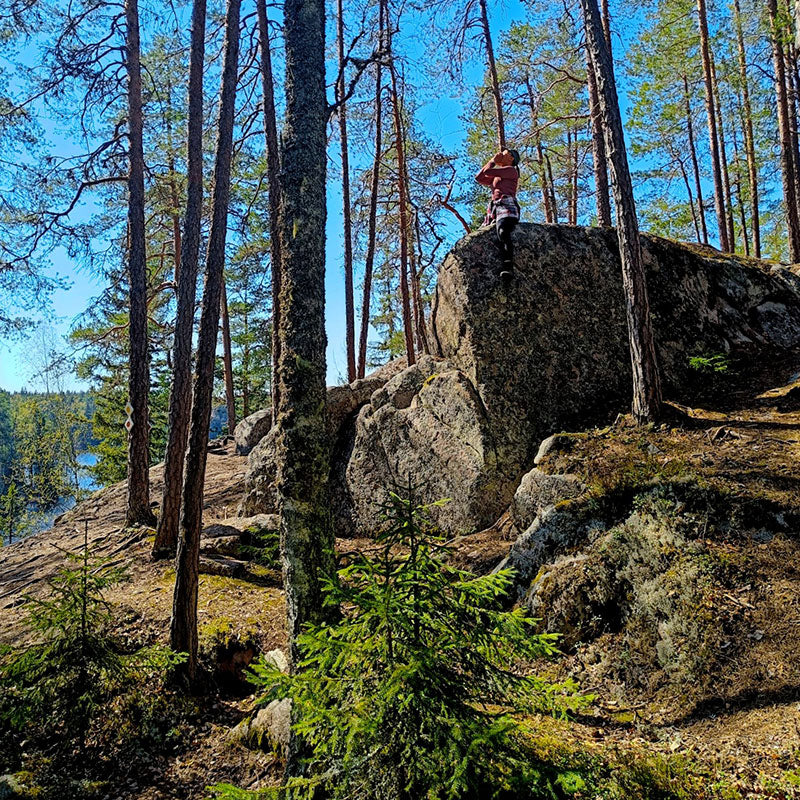 Liesjärven kansallipuisto Vanlifefinland