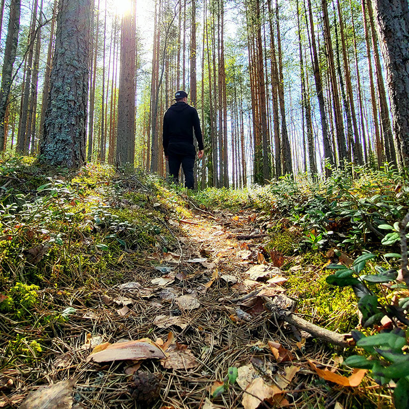 Päijänteen kansallipuisto - Lietsaari - Vanlifefinland