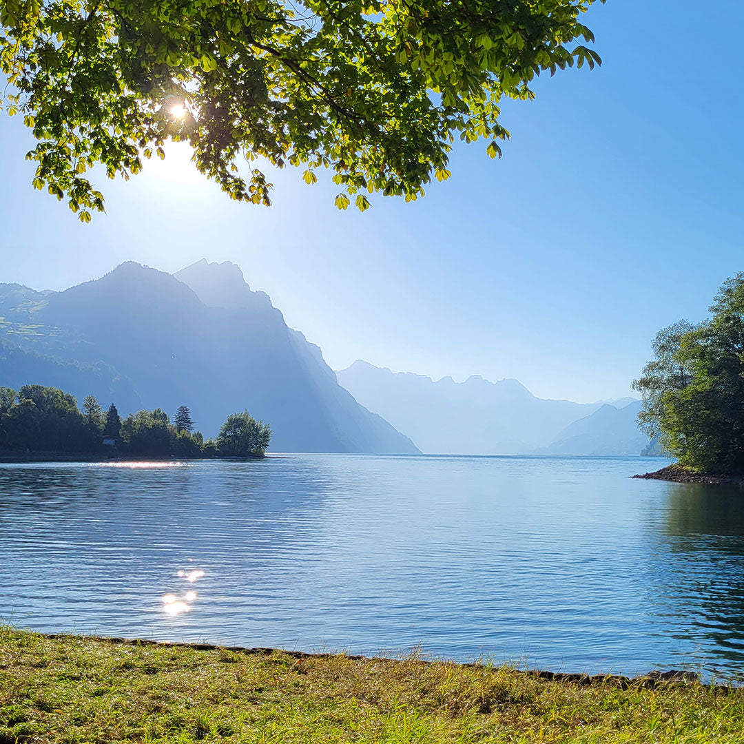 Kirkas järvi ja kaukaiset vuoret sinisen taivaan alla, vihreiden puiden kehystämänä ja auringonvalon suodattamana lehtien läpi.