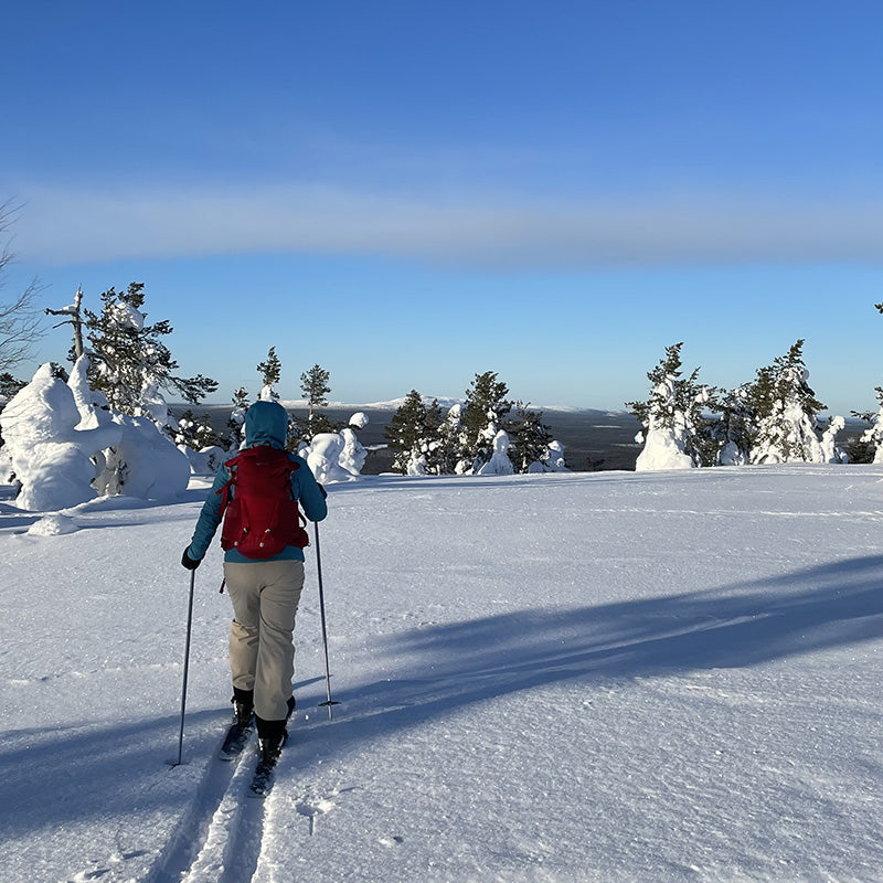 Pyhä-Luoston Kansallipuisto - Soutaja-tunturi - Liukulumikenka - Vanlifefinland