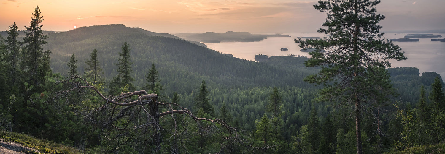 Näkymä metsäiseen maisemaan, jossa on kumpuilevia kukkuloita, järvi ja saaria auringonlaskun aikaan osittain pilvisen taivaan alla.