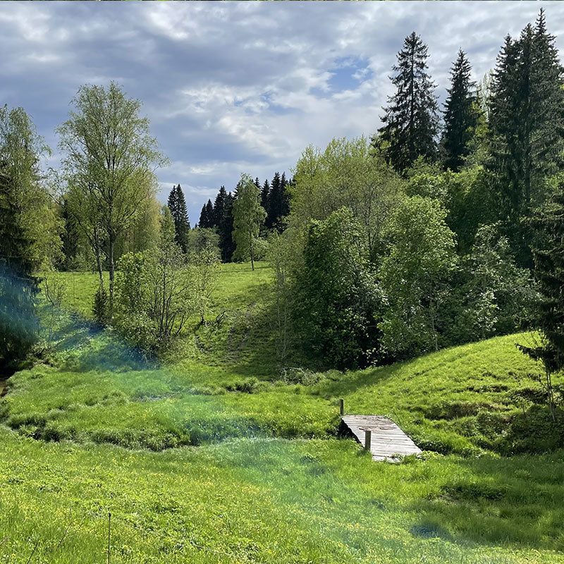 Sipoonkorven Kansallipuisto - Reitti - Vanlifefinland