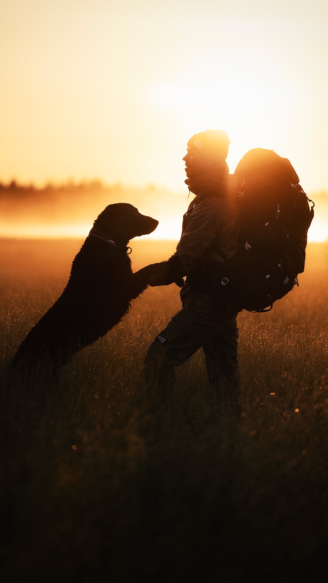 Rinkka selässä oleva henkilö seisoo pellolla auringonnousun aikaan ja pitää tassujaan takajaloillaan seisovan ison koiran kanssa.