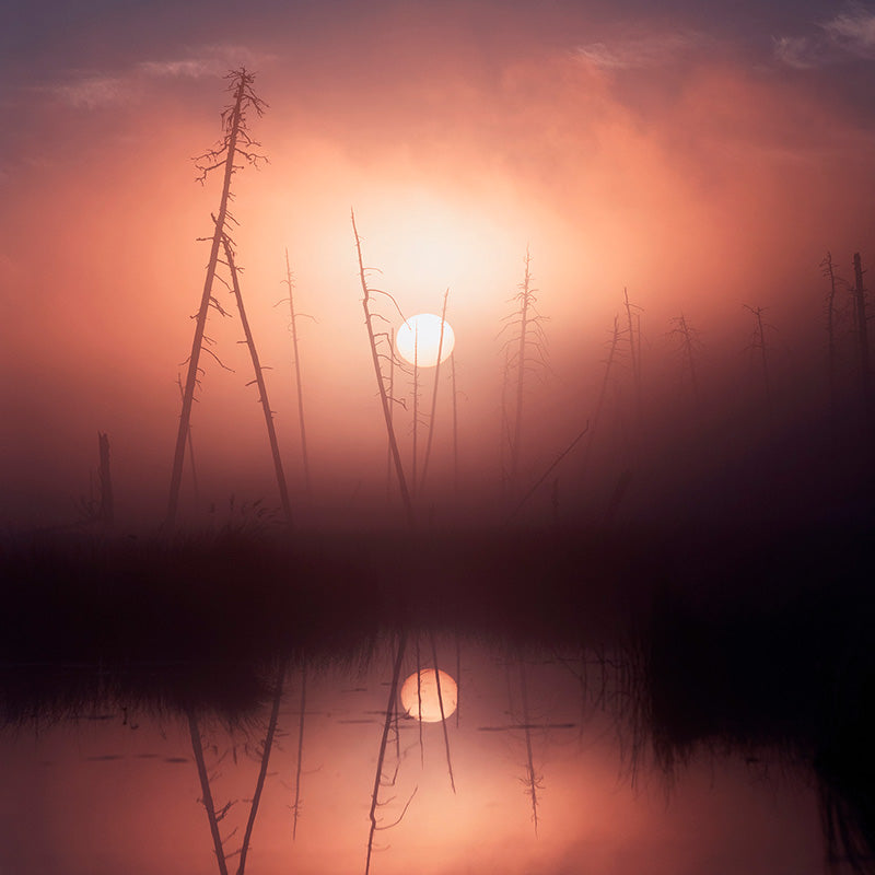 Lehdetön puusto seisoo sumussa, ja aurinko ja sen heijastus näkyvät tyynen veden yllä auringonnousun tai -laskun aikaan.