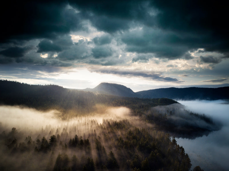 Metsämaisema, jossa on matalaa sumua ja auringonvaloa, joka virtaa pilvien läpi kaukaisten kukkuloiden ja puiden ylle.