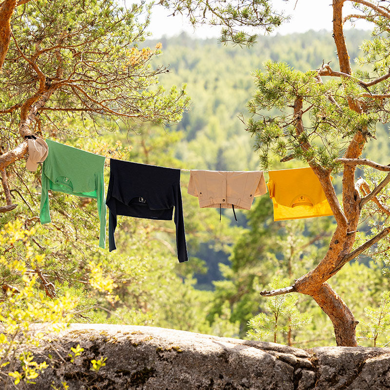 Neljä vihreää, laivastonsinistä, beigeä ja keltaista collegepaitaa roikkuu kahden puun välissä metsäisellä alueella.