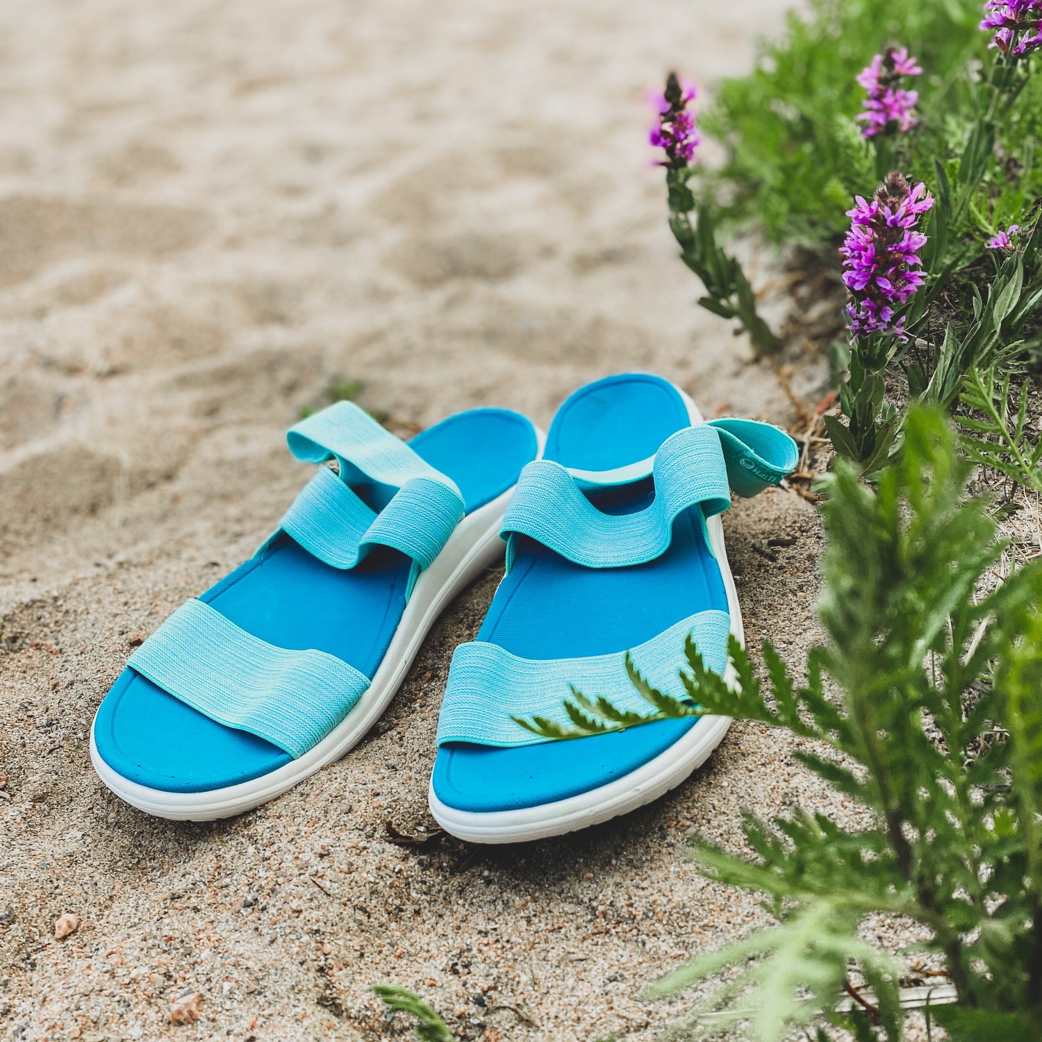 Halti Asha Naisten Sandaalit hiekkamaalla vihreiden kasvien ja violettien kukkien vieressä.