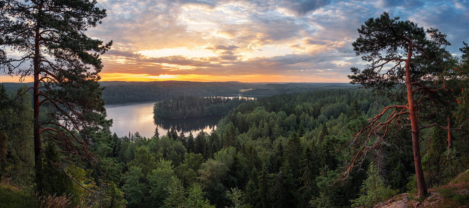 Halti otti ison harppauksen vastuullisuudessa - Ränkkää brändi -sijoitus nousi