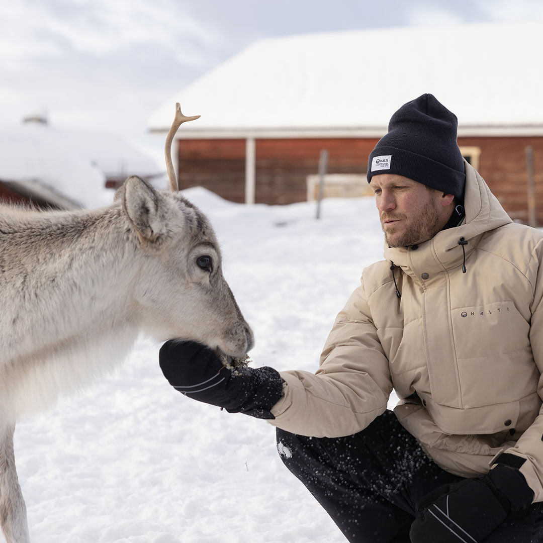 Halti Chowper Lasketteluanorakki Miesten - Lappi