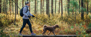 Halti vinkit ruskaretkelle